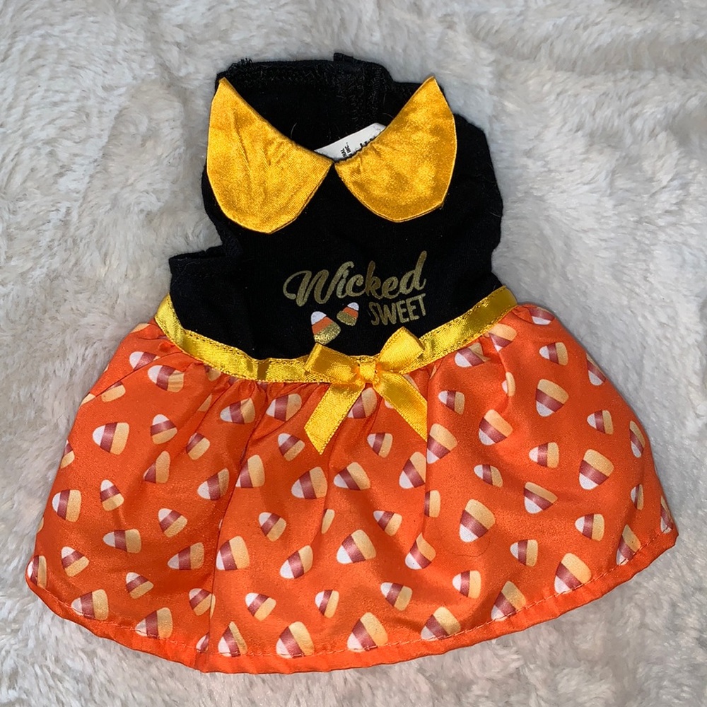 Petco Halloween Dress Guinea Pig Costume